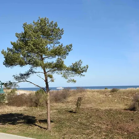 Apartment Forum Marinar 08 *